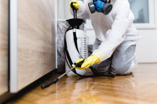 Best Wasp Removal Services  in Sulphur, LA