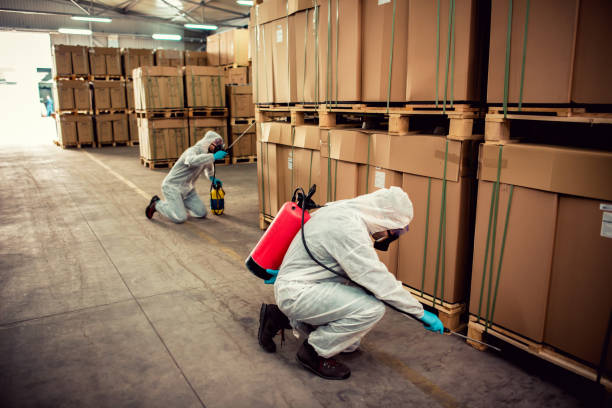 Best Affordable Pest Control Services  in Sulphur, LA