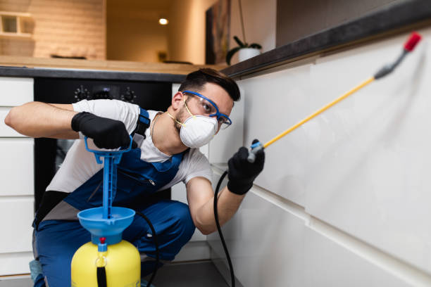 Best Pest Control Near Me in Sulphur, LA