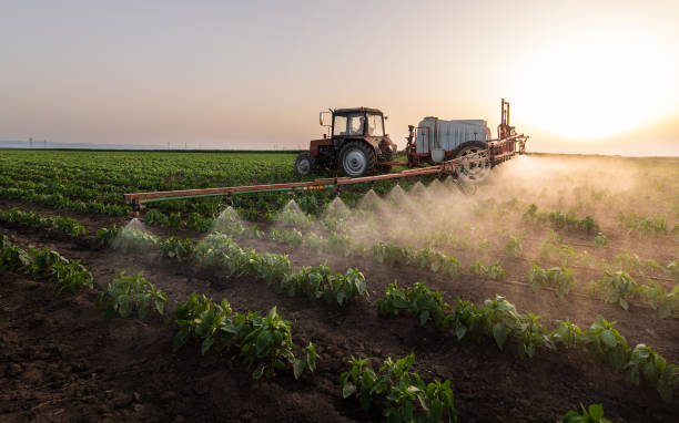 Best Best Pest Control Companies  in Sulphur, LA