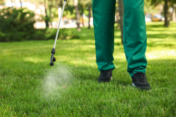 Pest Prevention Services in Sulphur, LA