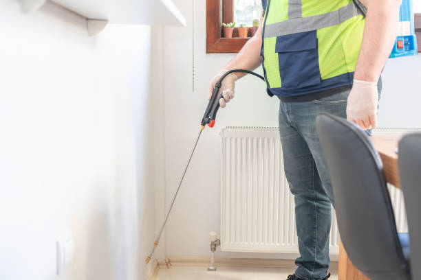 Best Local Pest Control Services  in Sulphur, LA