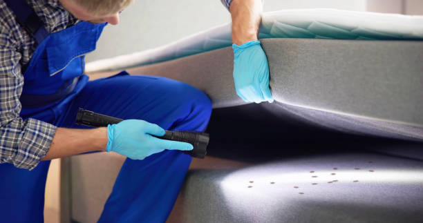 Professional Pest Control in Sulphur, LA