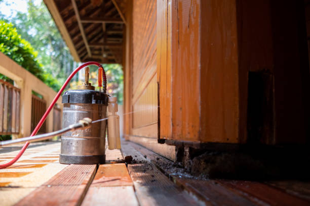 Best Pest Prevention Services  in Sulphur, LA