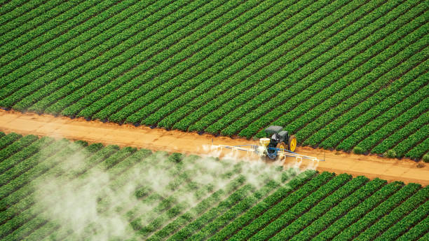 Best Pest Prevention Services  in Sulphur, LA