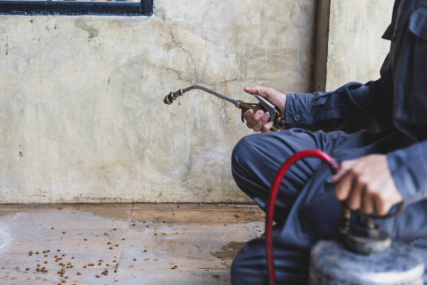 Pest Control Cost in Sulphur, LA
